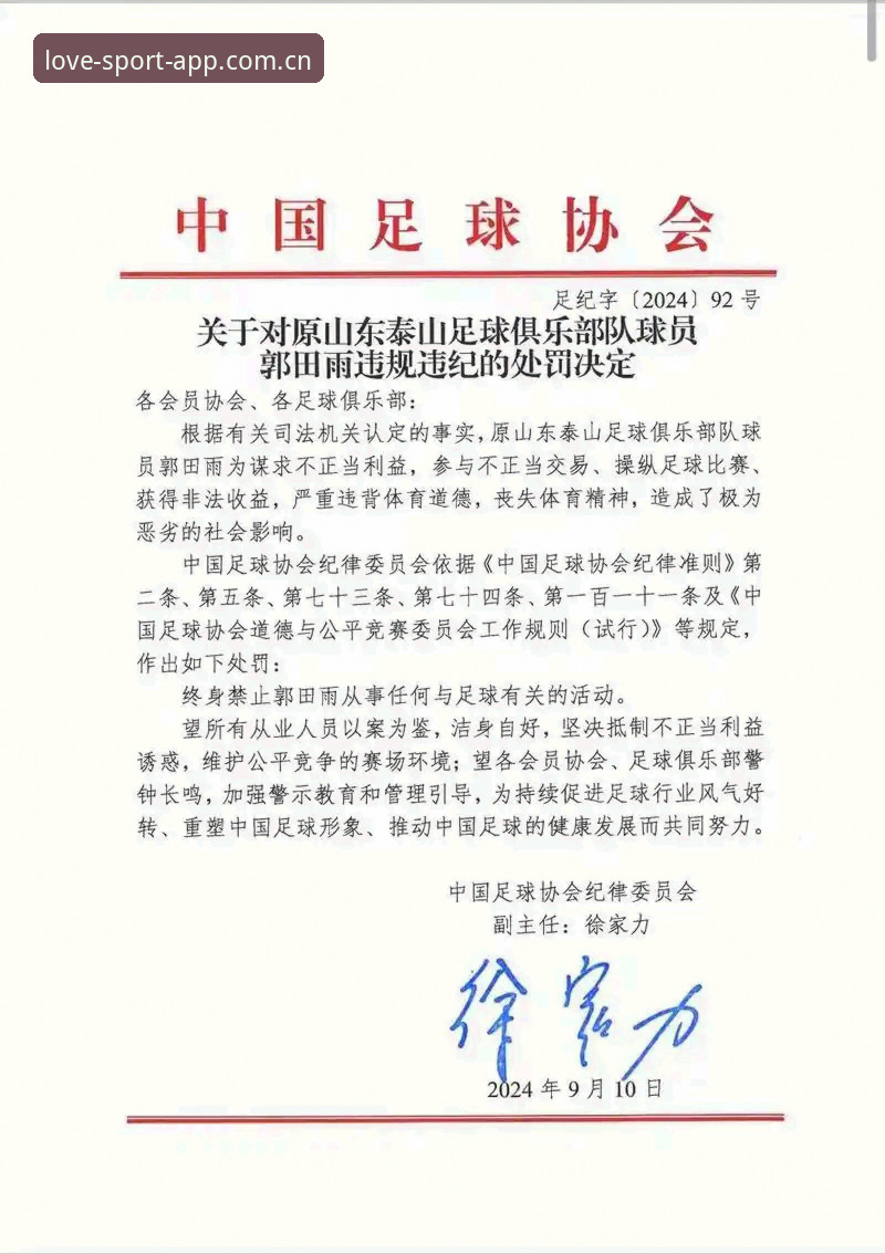 爱体育官方登录入口对比 揭秘足协第三批禁足名单背后:65人封杀令下的中国足球真相